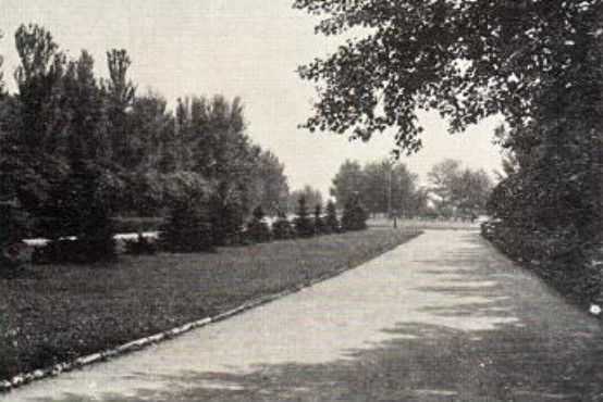 Входная аллея парка имени Ленинского комсомола, являющегося составной частью комплексной зоны отдыха в Кальмиусе