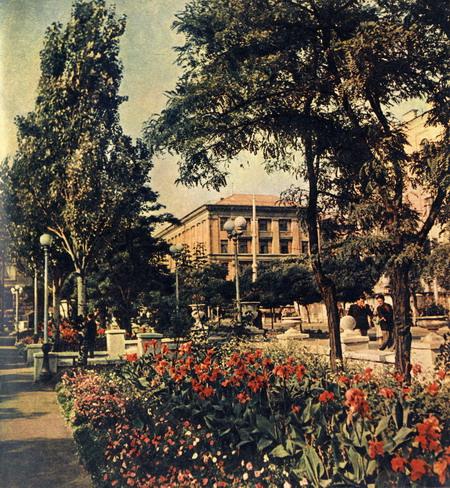 Улица Артема у сквера Павших коммунаров. Фото из фотоальбома Донецк 1962