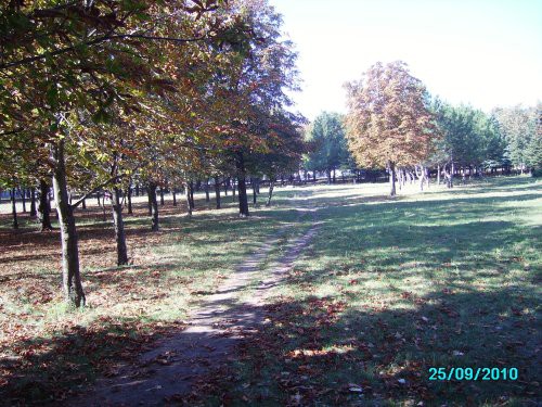 Городской парк Артемовска на месте старого кладбища уездного